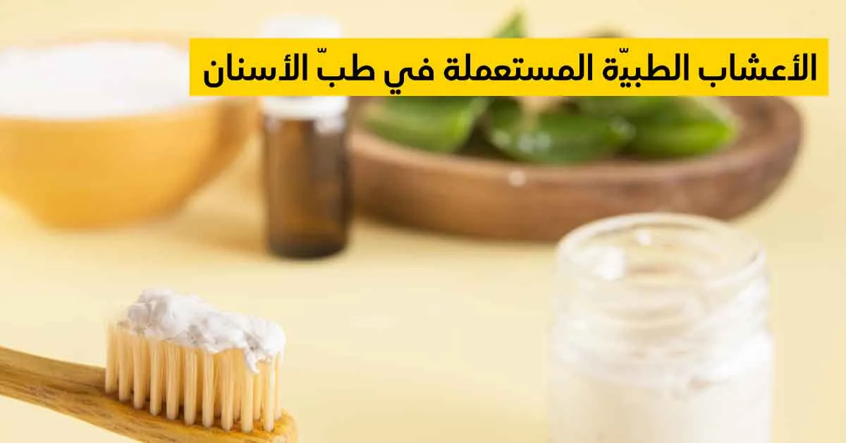 الأعشاب الطبيّة المستعملة في طبّ الأسنان وتسكين الآلام